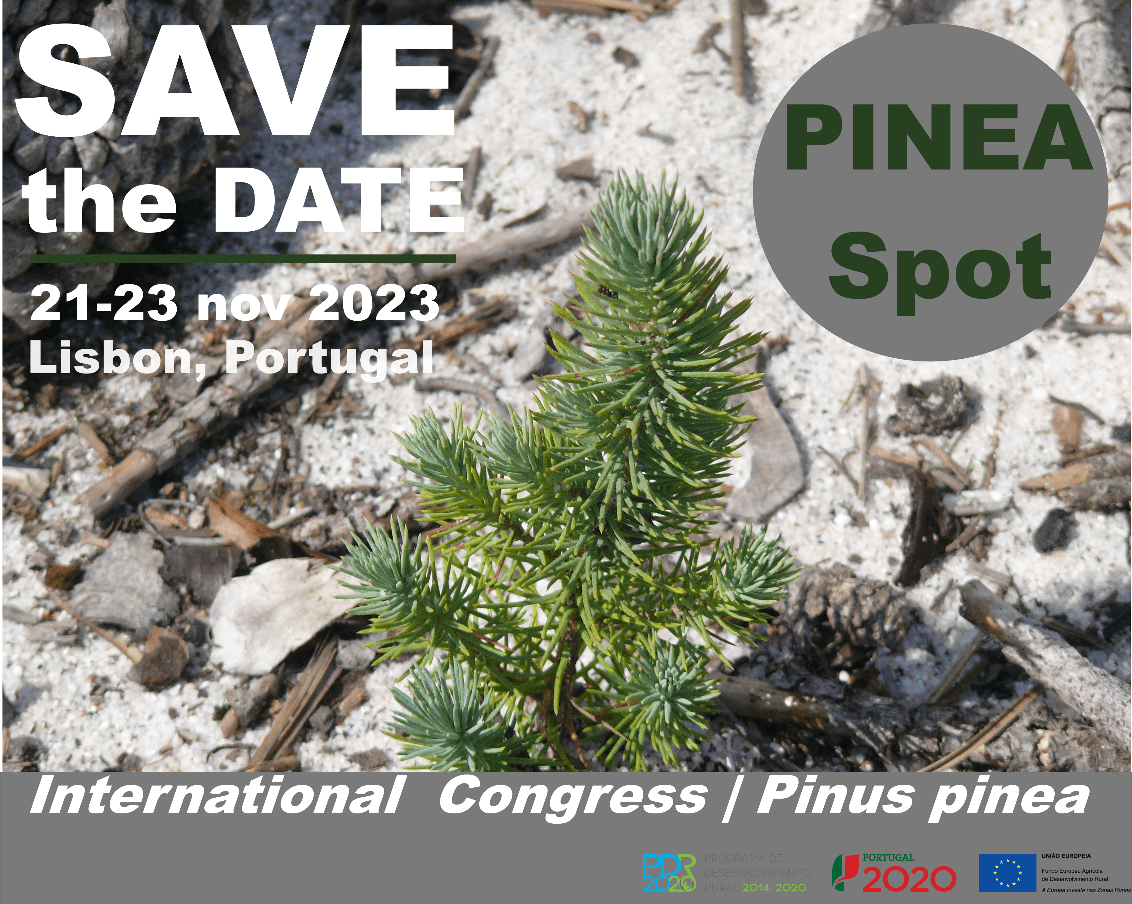 CCPMP organizará este ano o Pinea Spot - Congresso Internacional