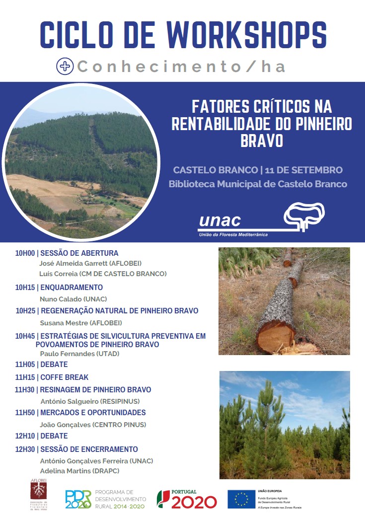 workshop fatores criticos rentabilidade pinheiro bravo